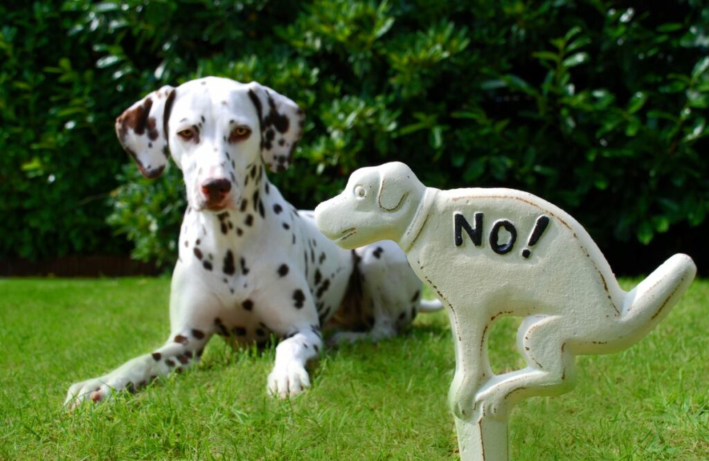 Lustige Schilder gegen Hundekot