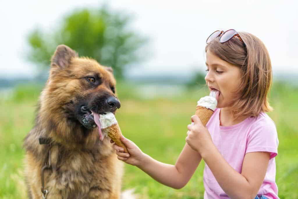 dürfen hunde vanilleeis essen